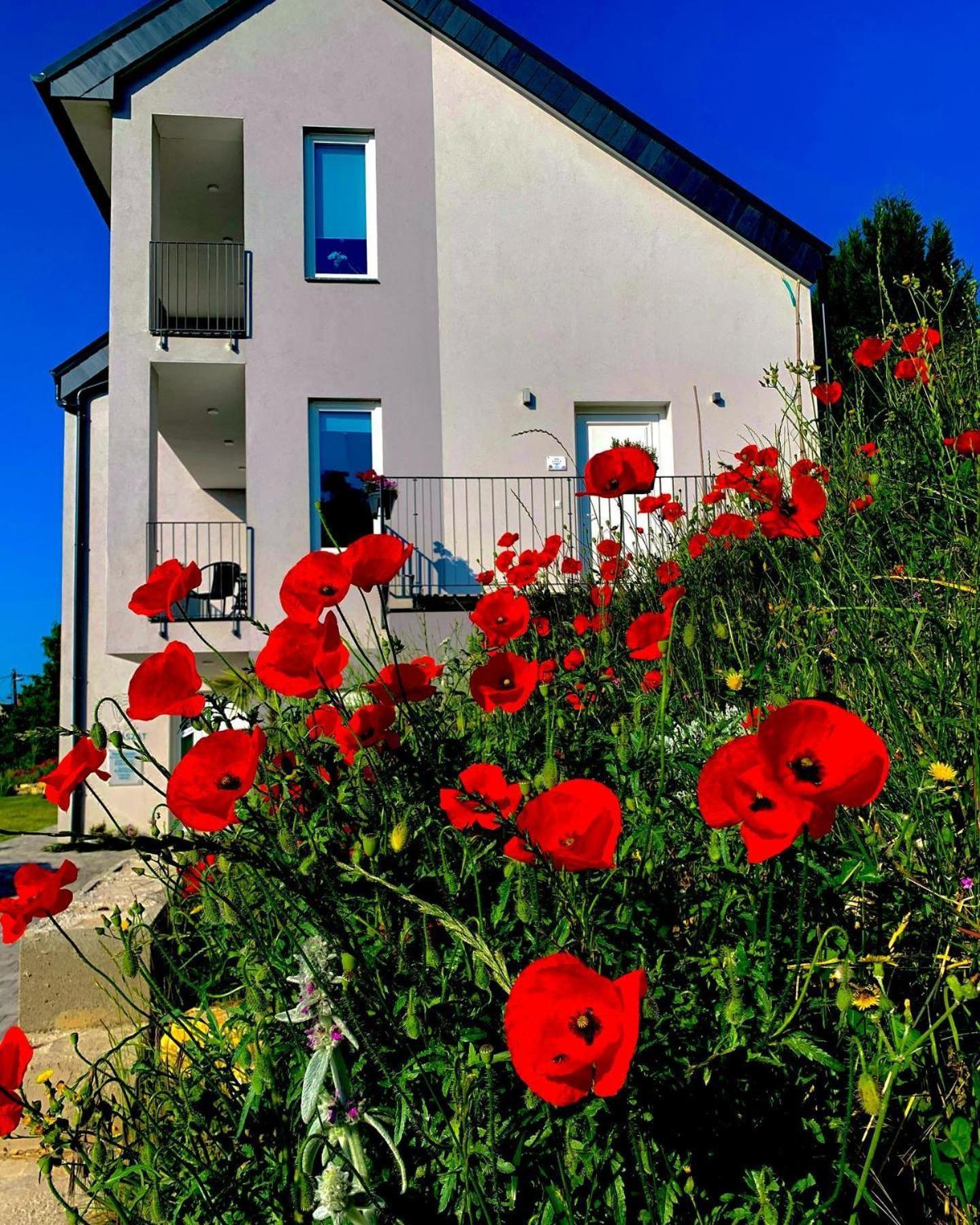 Old Hill Residence Csopak Exteriör bild